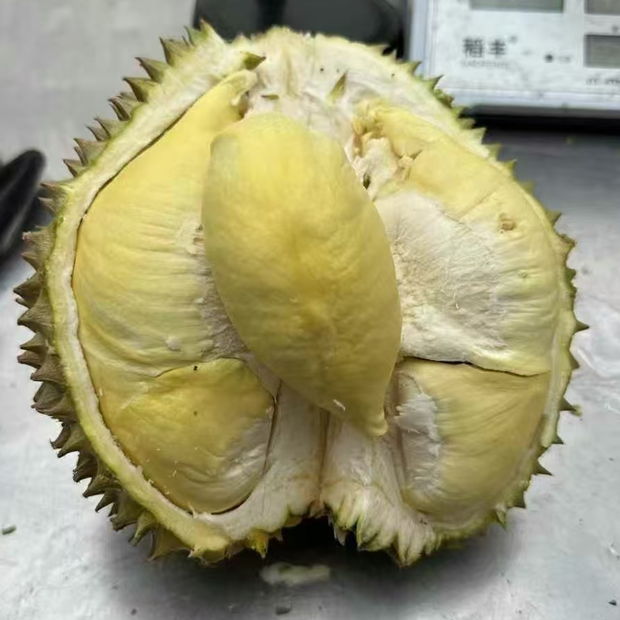 新鲜金枕榴莲（偏熟）500克左右核小金枕泰国