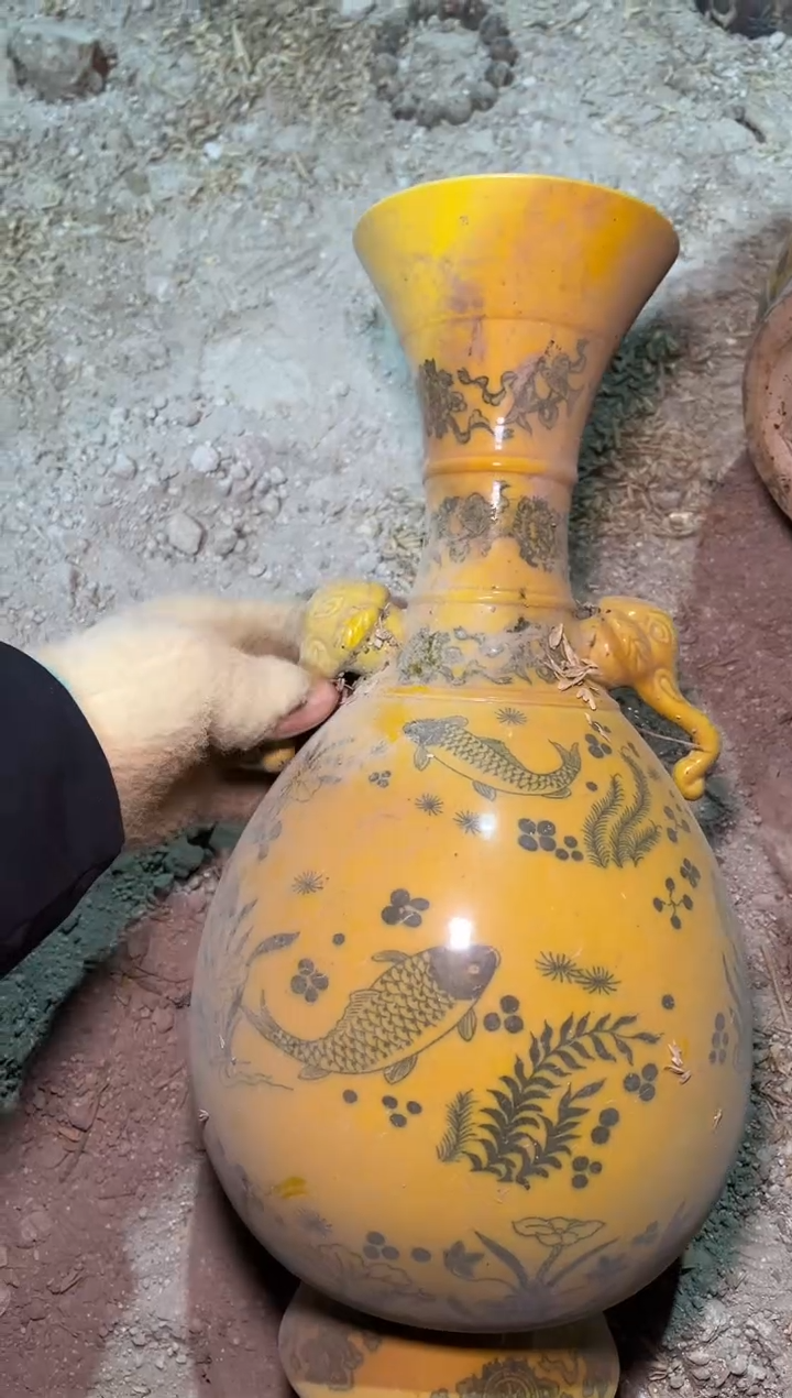 【闪购商品】瓷片雅琪精品精品链接507