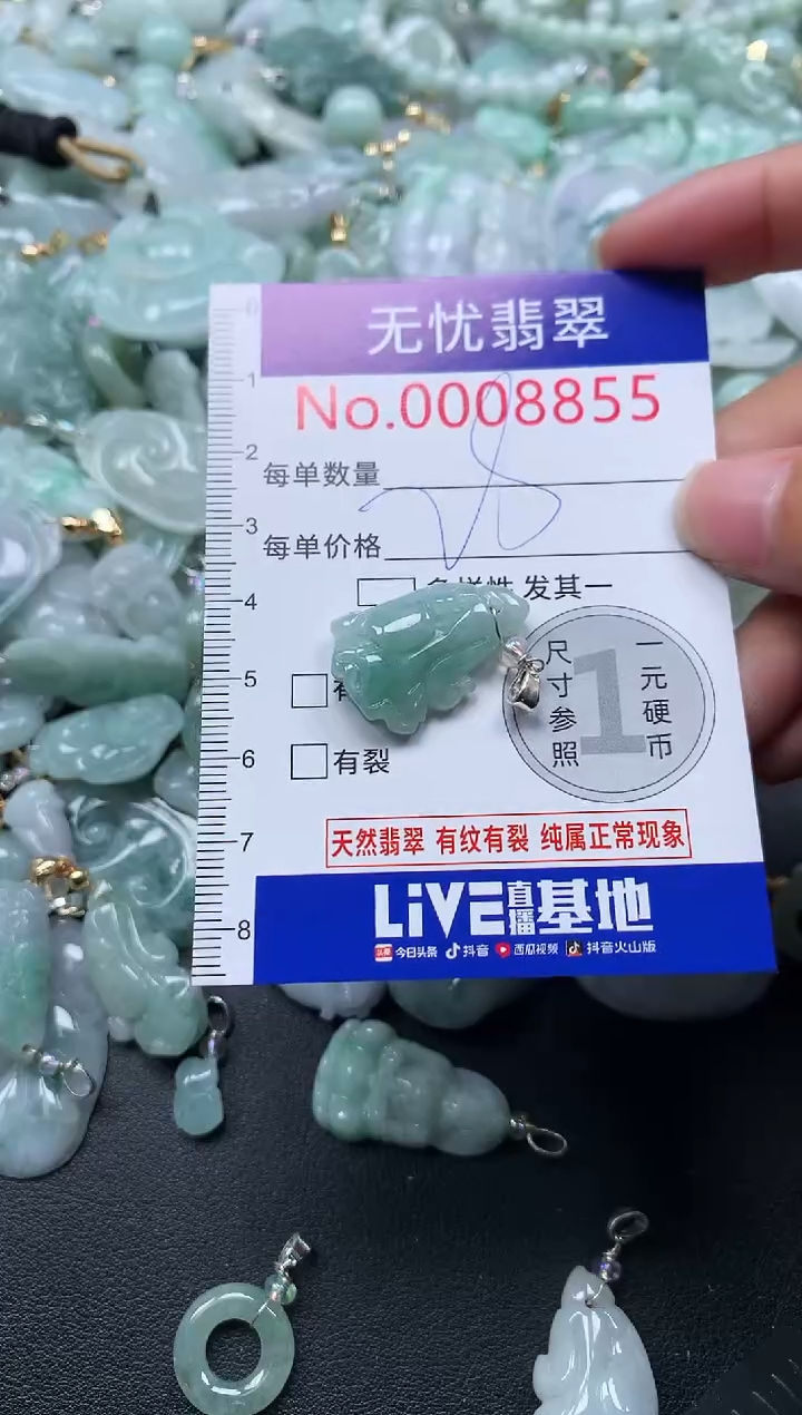 颈饰未镶嵌翡翠8855