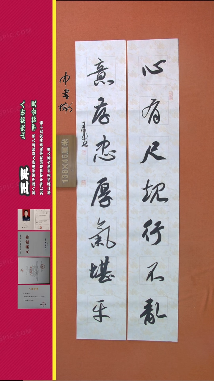 【闪购商品】书法103王军书法作品