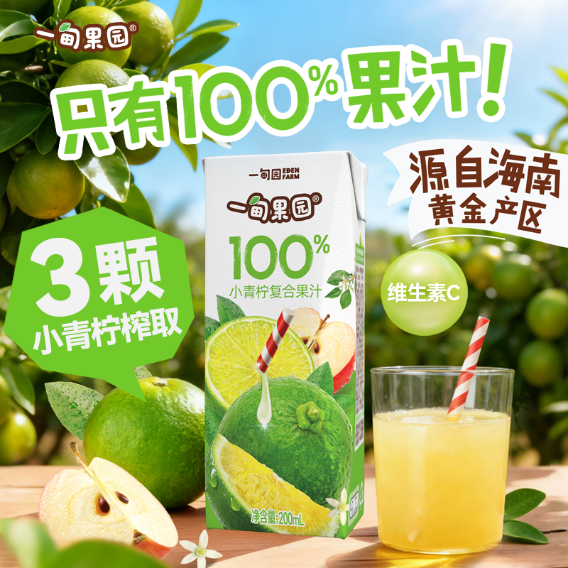 一甸果园100%小青柠复合果汁维C酸甜解腻果汁饮料200ml*10盒