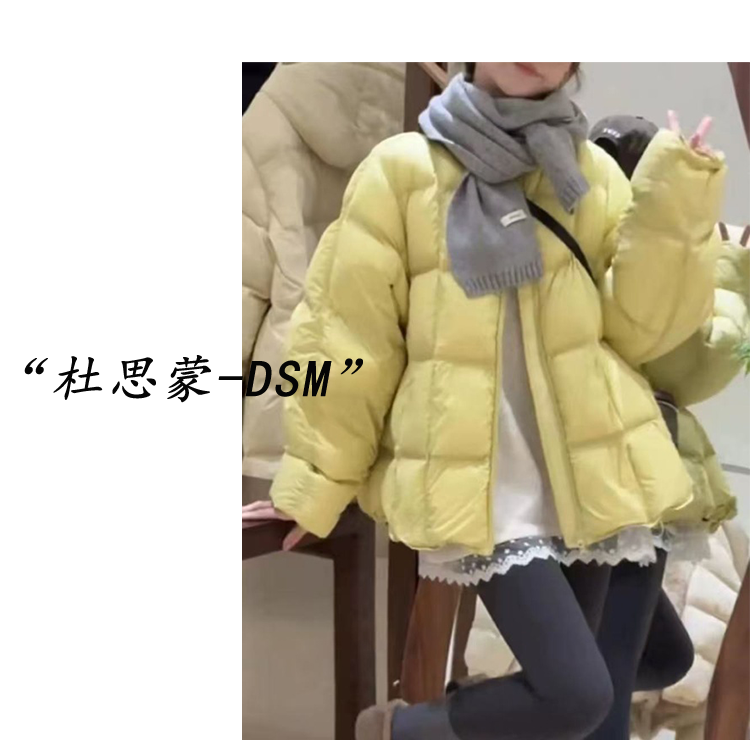 DSM-【奶芙芙】韩国货！25秋冬韩系休闲舒适短款羽绒服外套0883