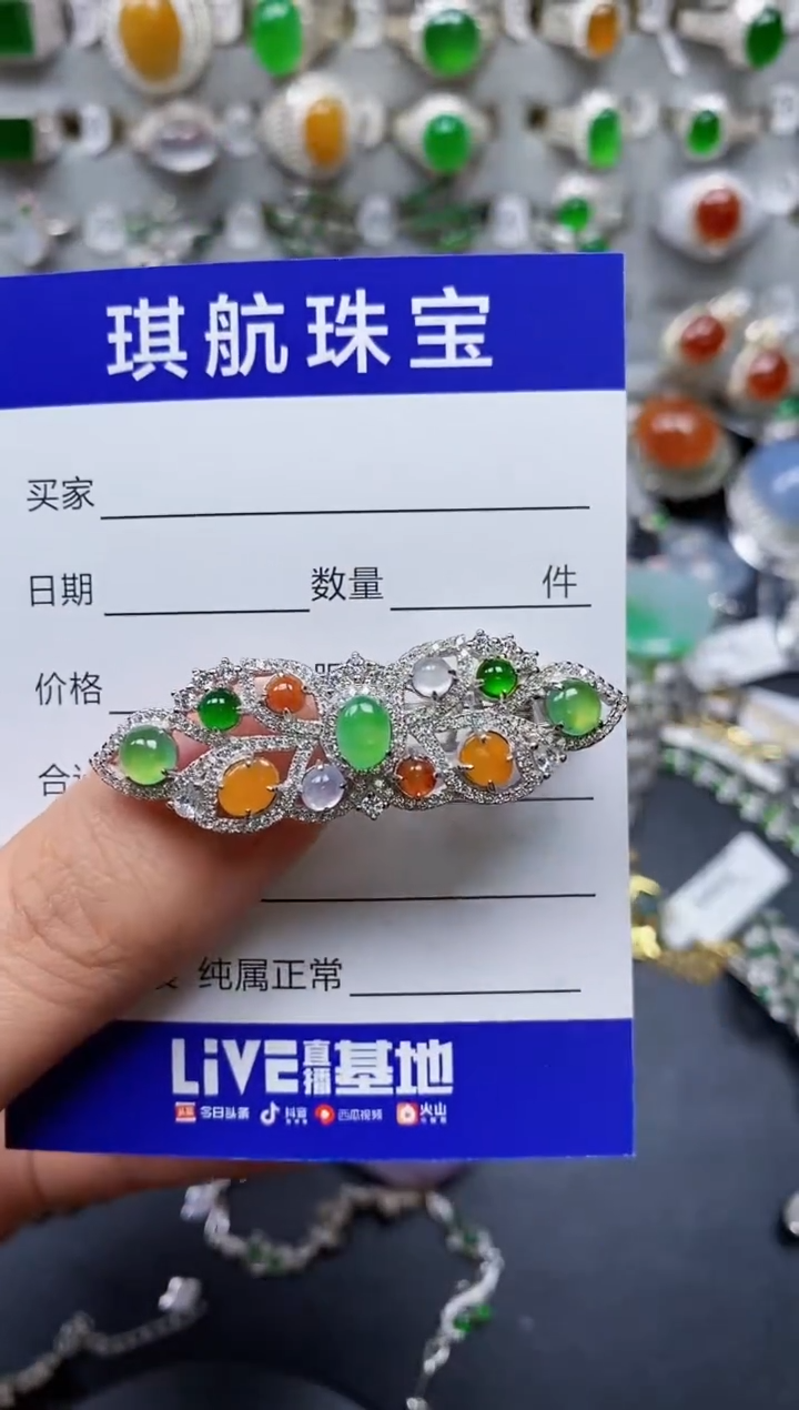 【闪购商品】翡翠颈饰银S925镶嵌0142