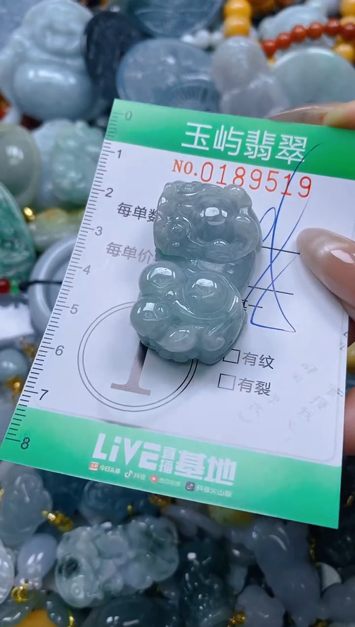 翡翠未镶嵌颈饰闪购0189519