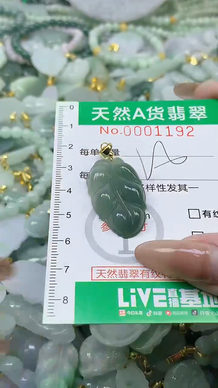 颈饰未镶嵌翡翠未镶嵌纯天然A货翡翠