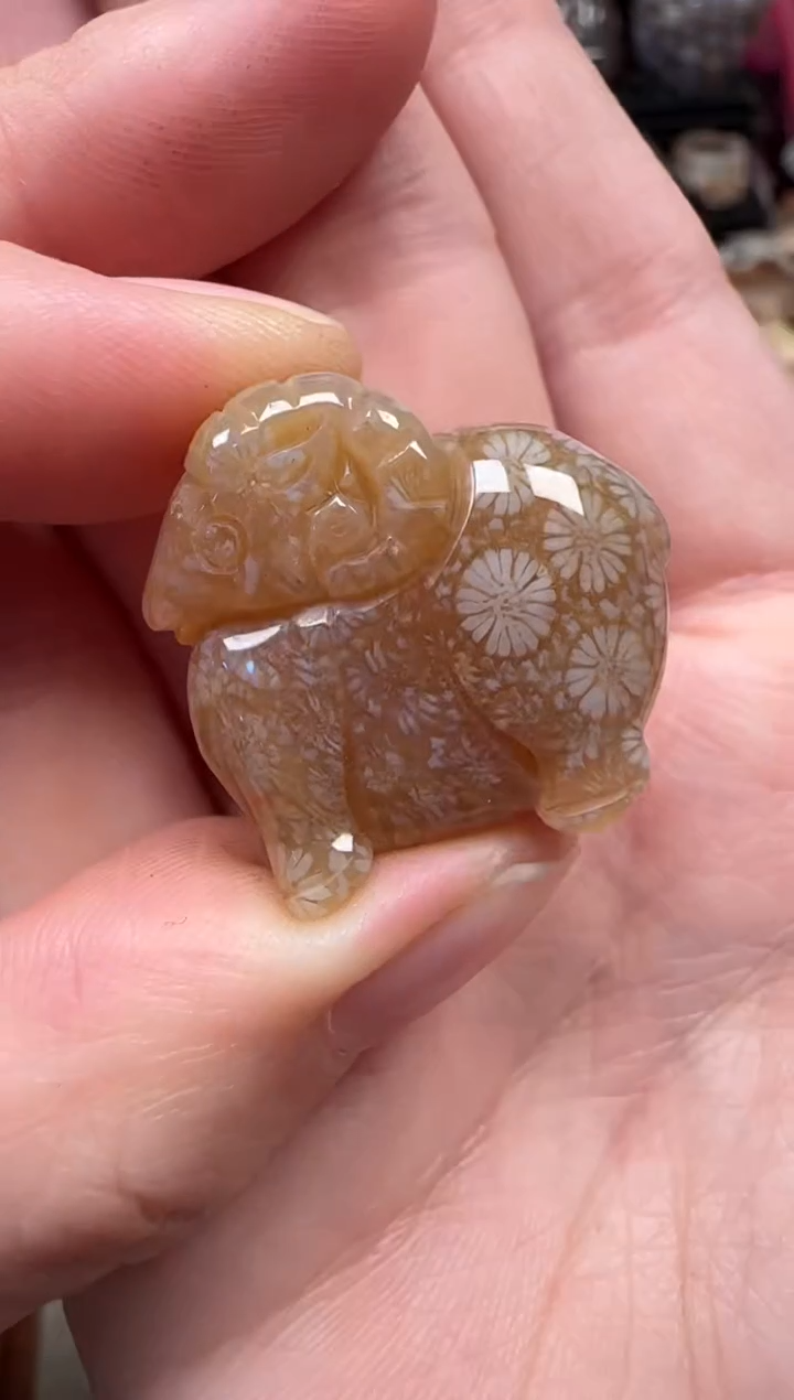 颈饰未镶嵌硅化珊瑚（珊瑚玉）734