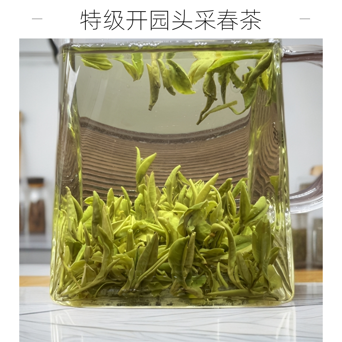 2025年开园头采春茶嫩芽特级豆香耐冲泡清香高档四月初春茶