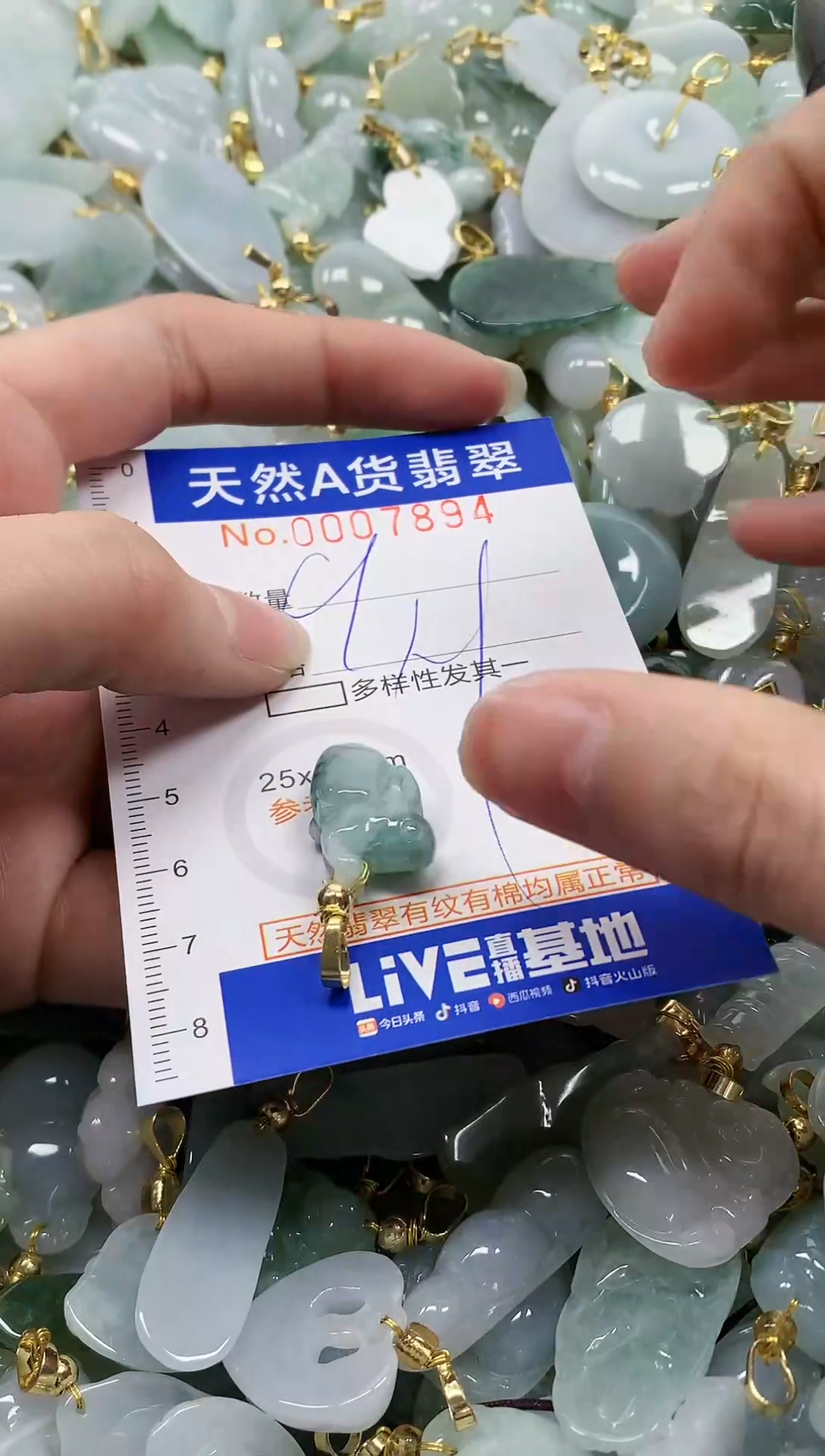 颈饰未镶嵌翡翠纯天然a货翡翠