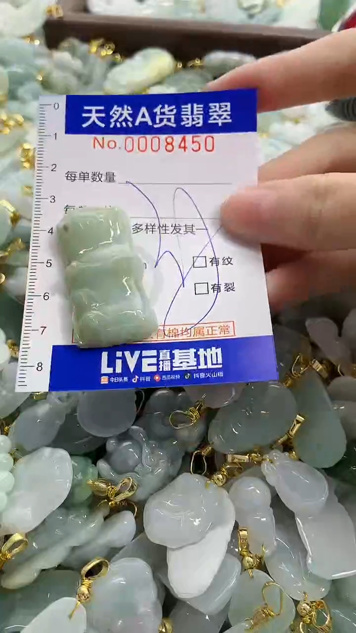 颈饰未镶嵌翡翠天然A货翡翠