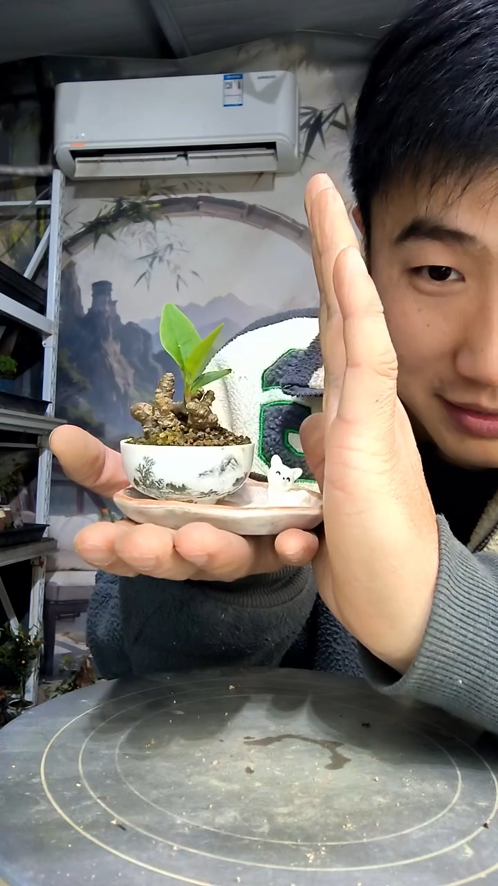 拜**e中青园艺一物一拍花109