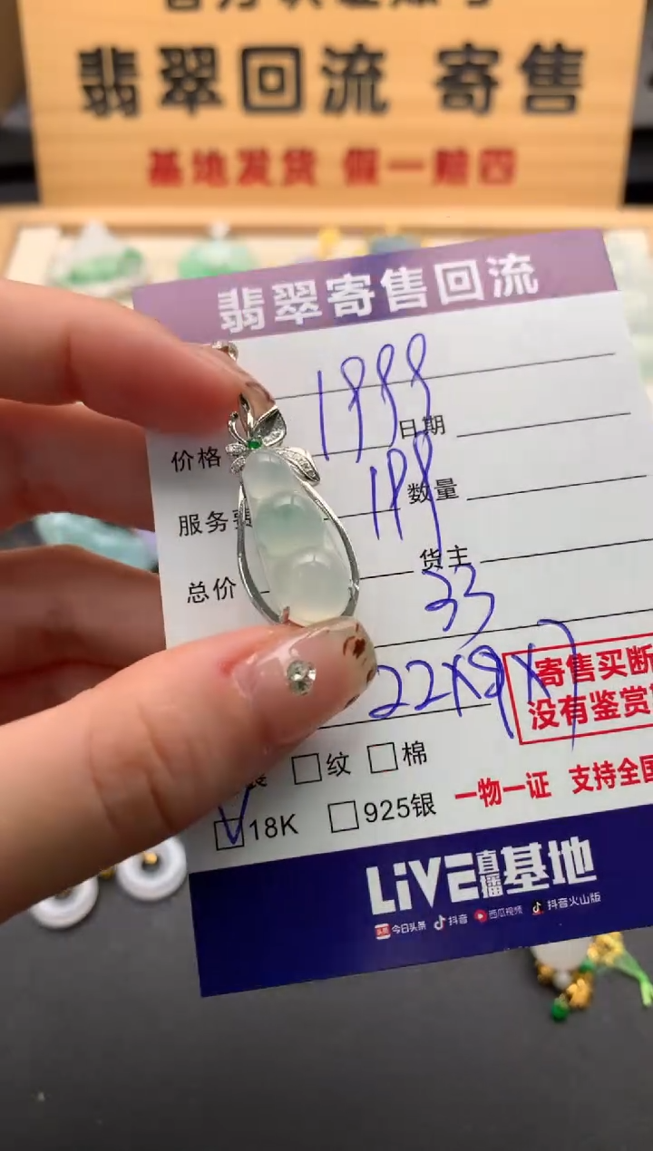 翡翠18K金镶嵌颈饰10128584