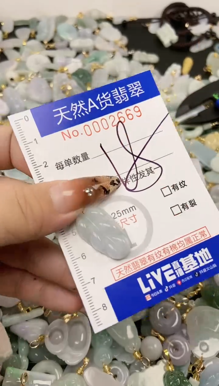 【闪购商品】翡翠颈饰未镶嵌天然A货翡翠