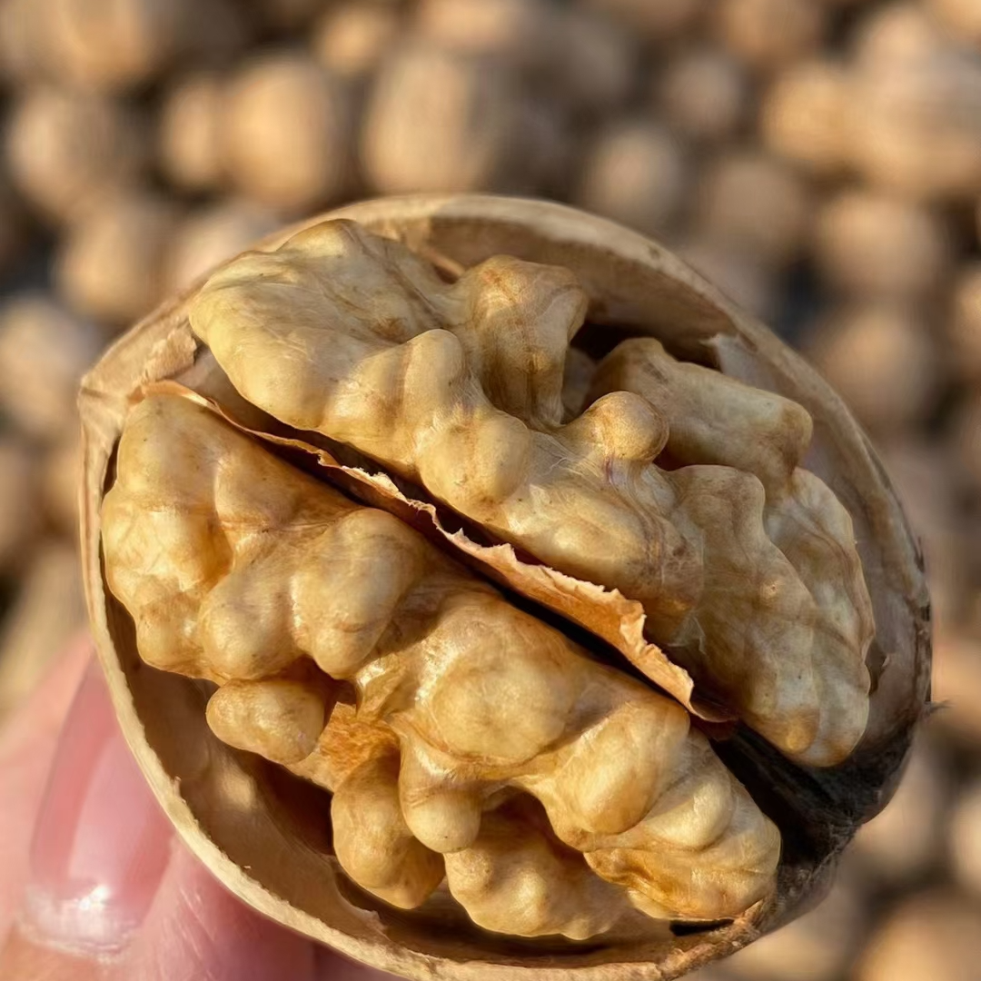 阿炳专属新疆阿克苏纸皮核桃手剥即开薄皮饱满营养美味坚果零食