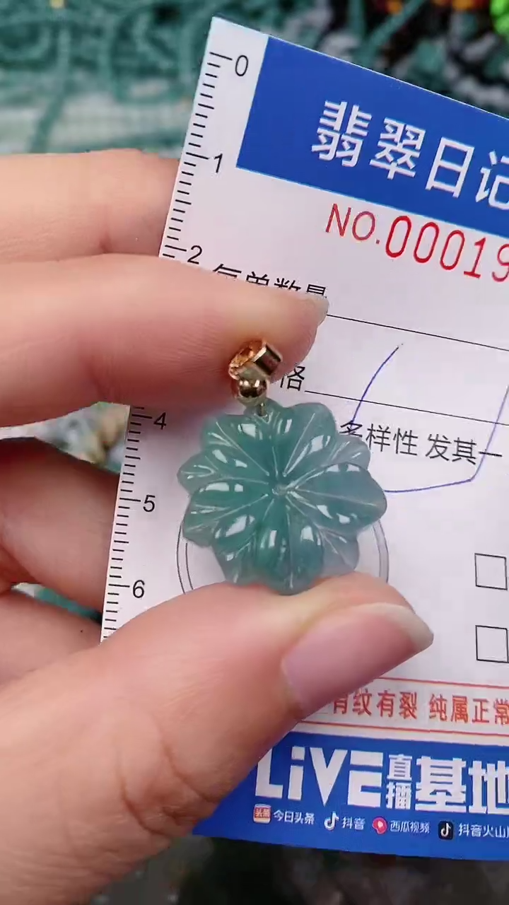 【闪购商品】翡翠颈饰未镶嵌00001973