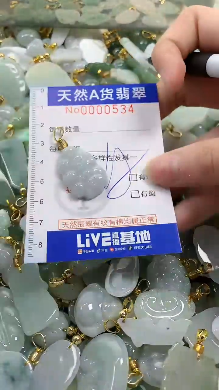 颈饰未镶嵌翡翠纯天然a货翡翠