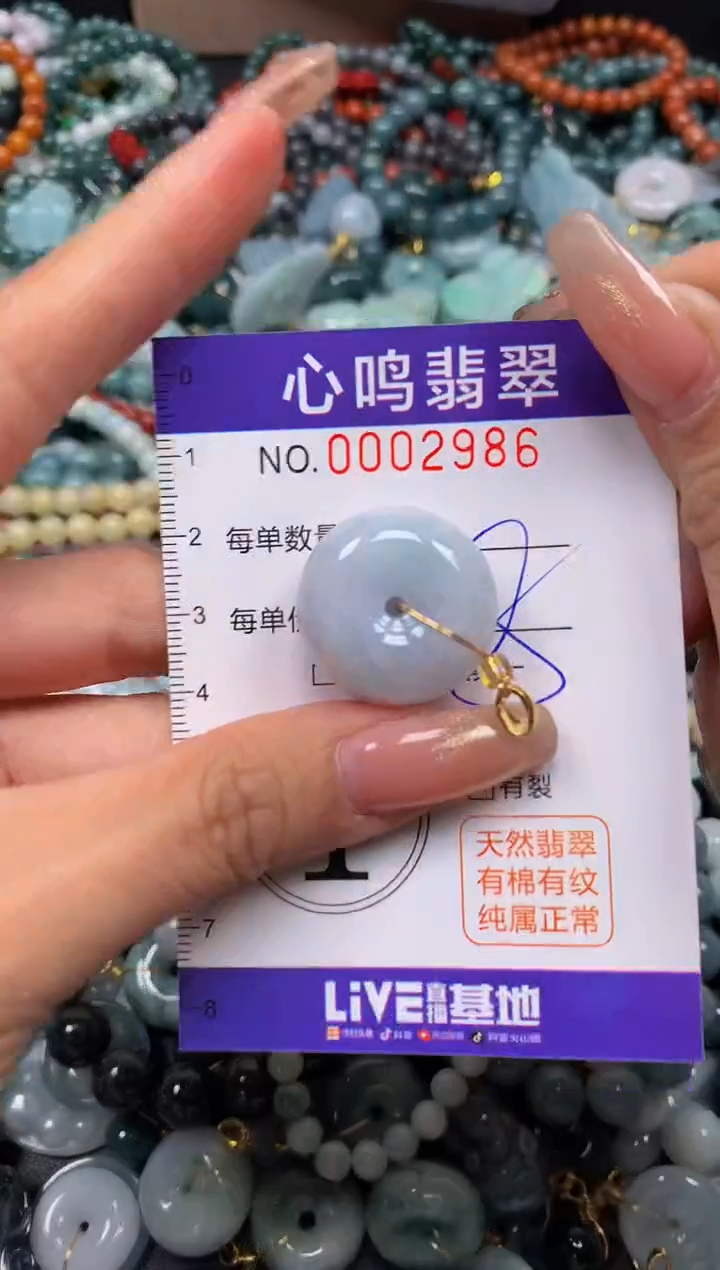 颈饰未镶嵌翡翠闪购002986