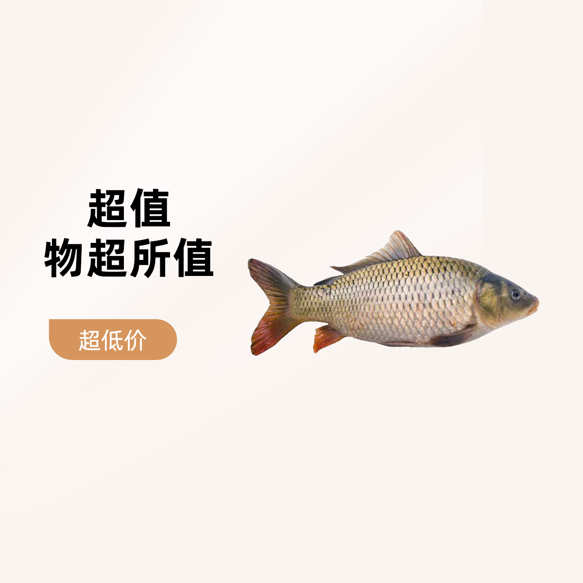无品牌鲜活鲤鱼1000g
