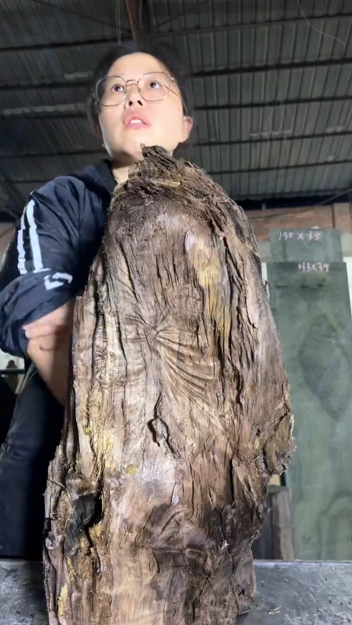 金丝楠独**欢57金丝楠小叶桢楠原材料