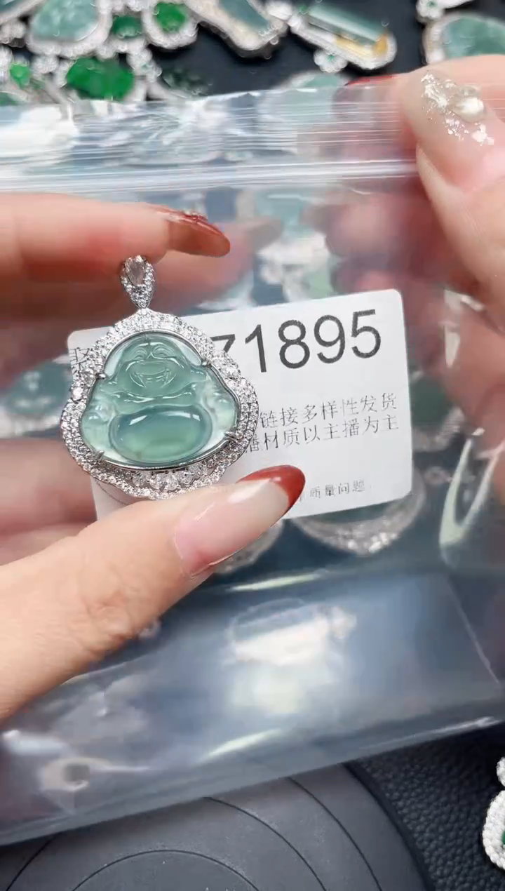 【闪购商品】翡翠颈饰未镶嵌赠皮绳1895