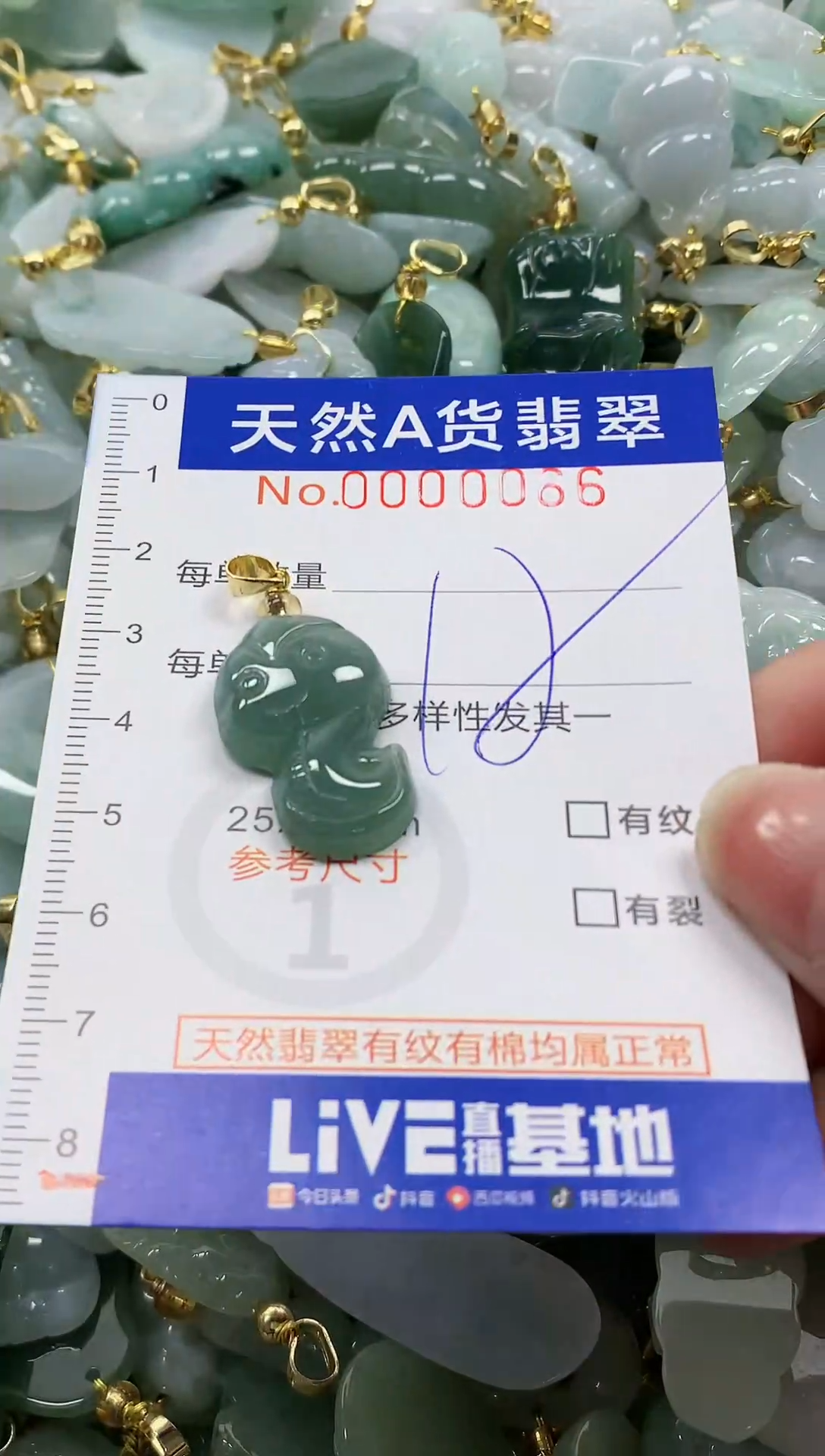 颈饰未镶嵌翡翠纯天然a货翡翠