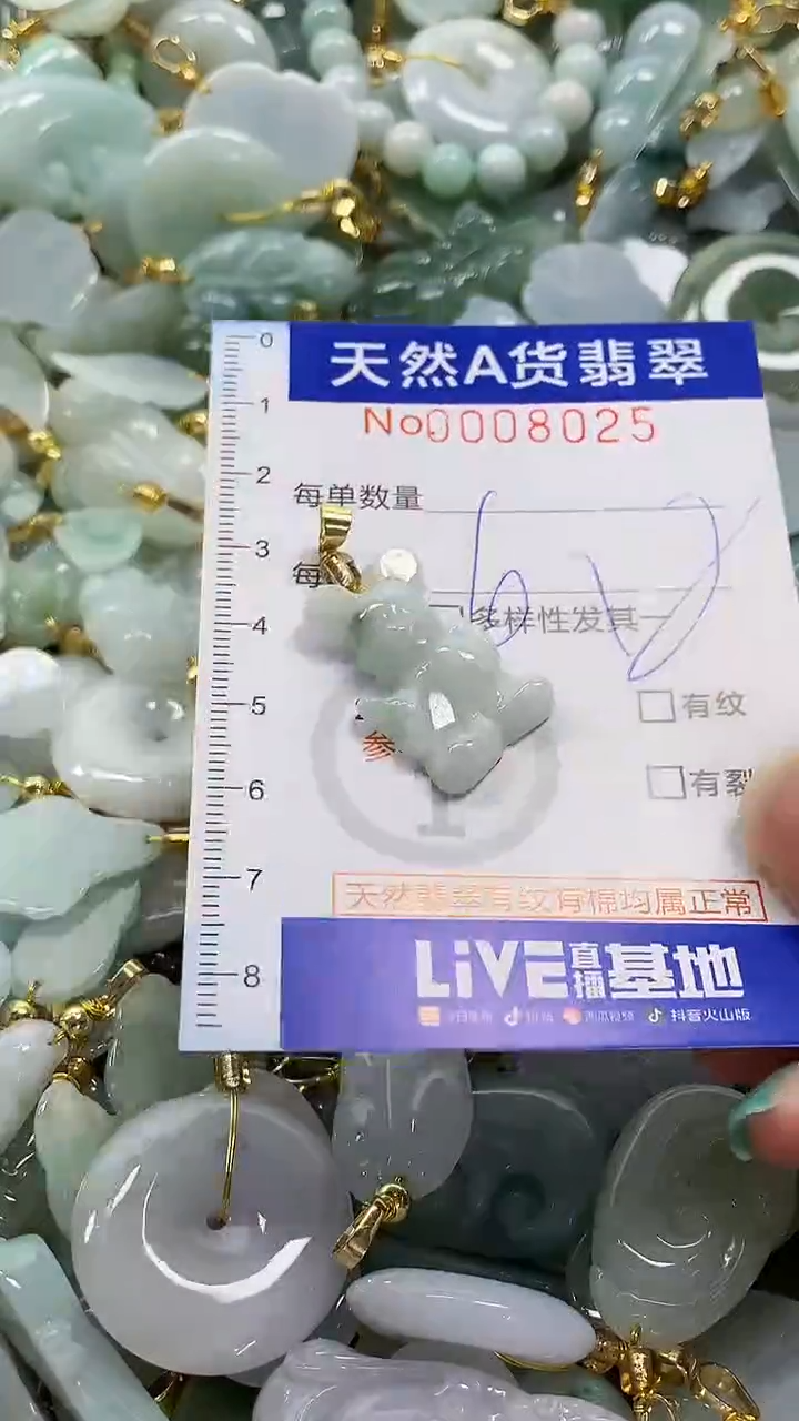 颈饰未镶嵌翡翠纯天然a货翡翠