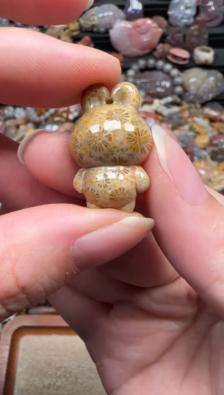 颈饰未镶嵌硅化珊瑚（珊瑚玉）534