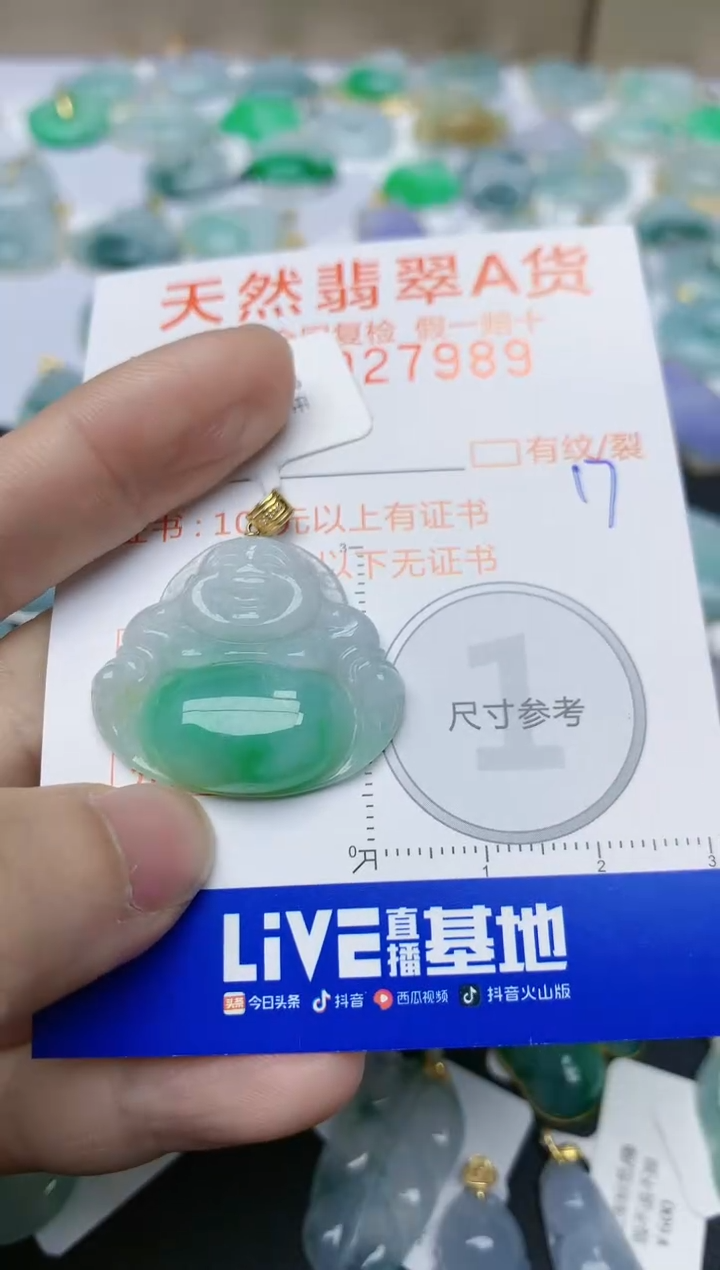 【闪购商品】翡翠颈饰18K金镶嵌天然翡翠A货    