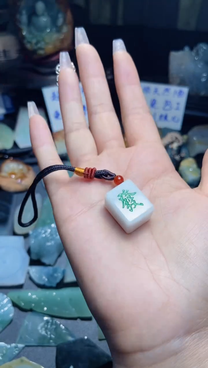 【闪购商品】翡翠颈饰未镶嵌片料2