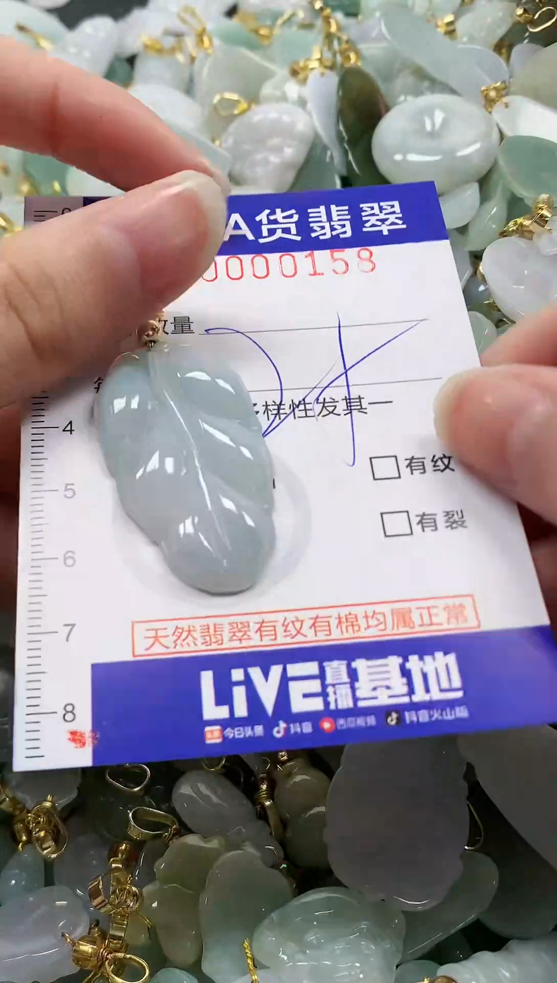 颈饰未镶嵌翡翠纯天然a货翡翠