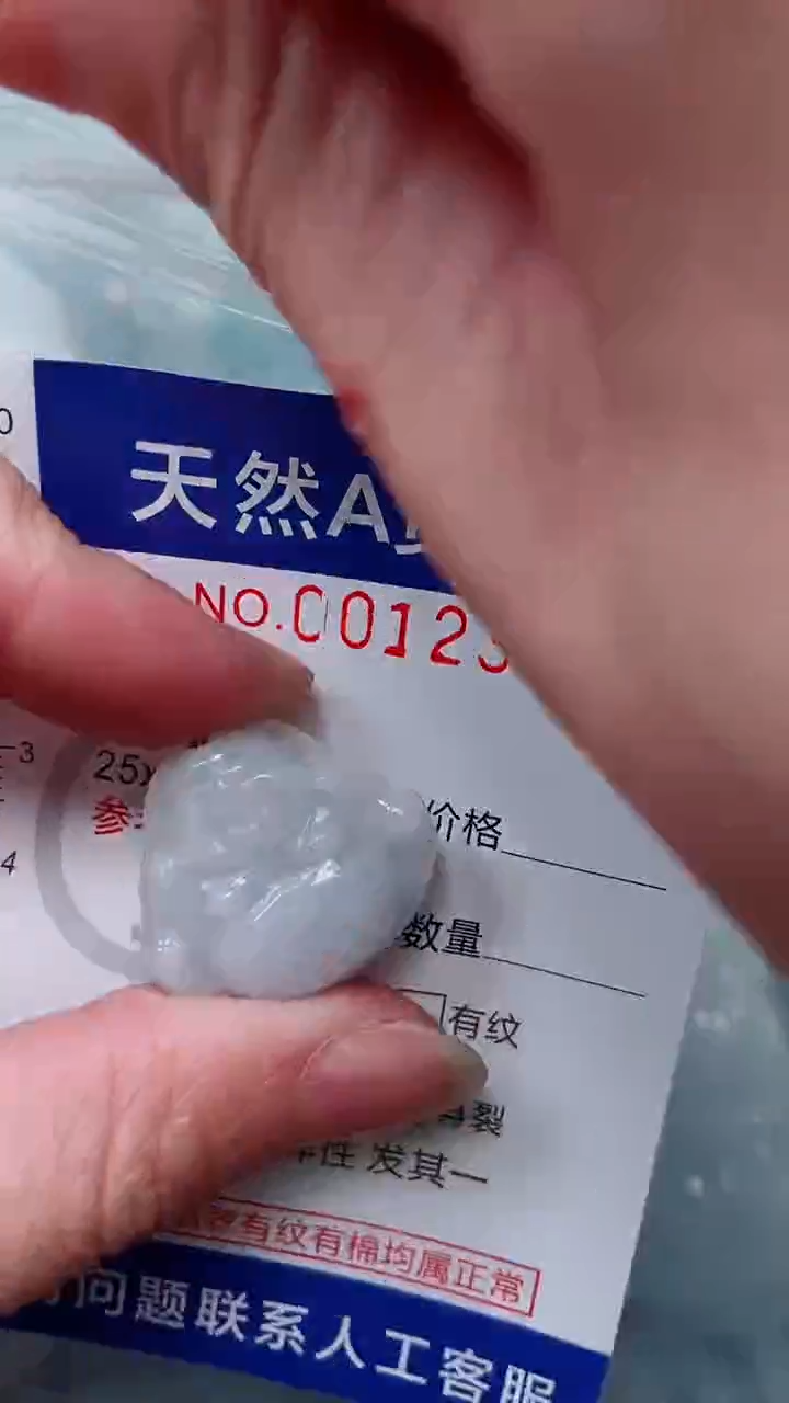 翡翠未镶嵌吊坠(赠链)1