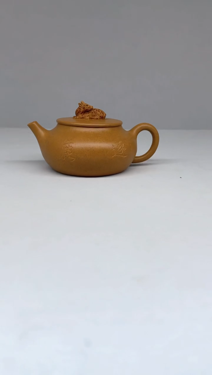 紫砂其他@@宜兴紫砂壶118