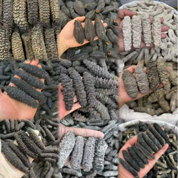 深海野生海参纯淡干海参干货