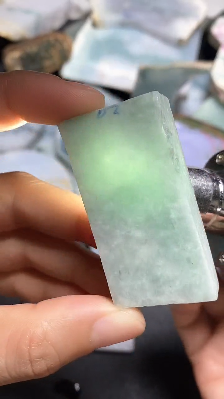 【闪购商品】翡翠颈饰未镶嵌料子