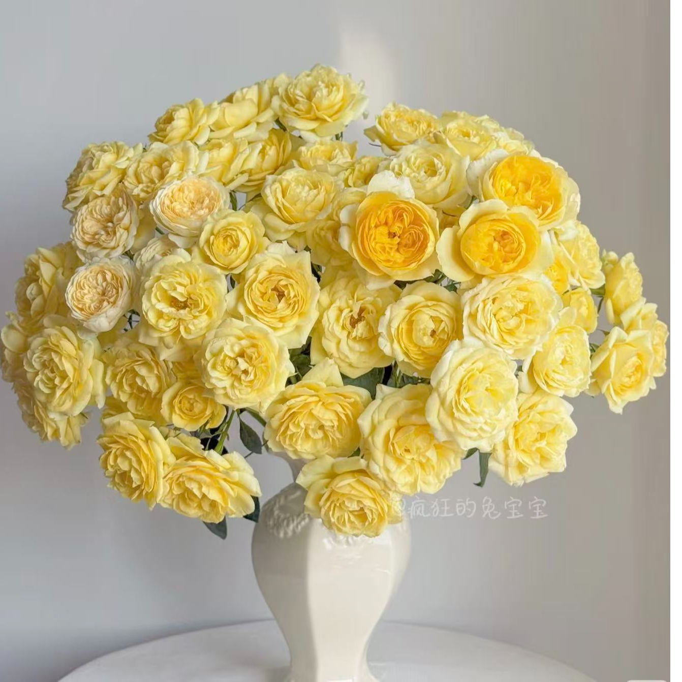  【柠檬汁阳台多头玫瑰】任意两单及两单以上鲜花顺丰包邮发货