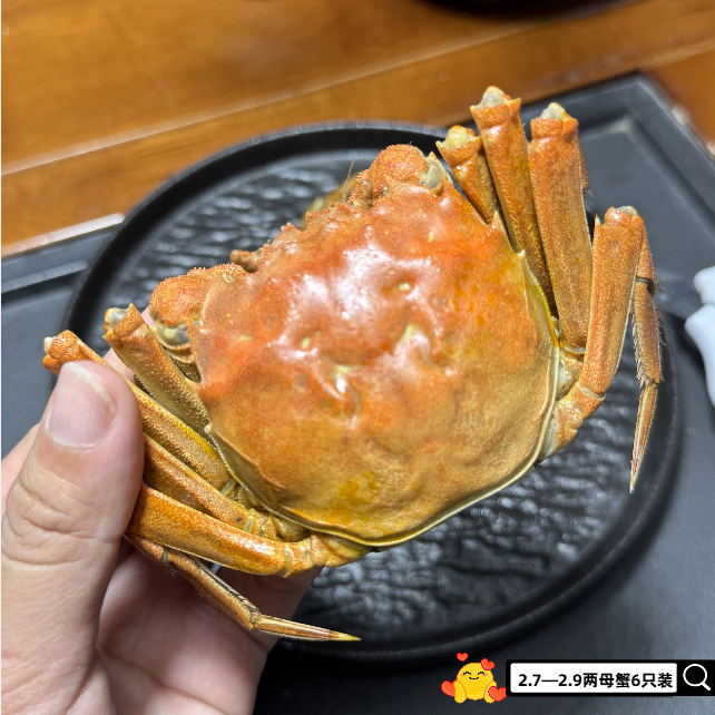 萧六十六郎【全母2.7-2.9两母蟹】6只装鲜活大闸蟹高品质精挑蟹