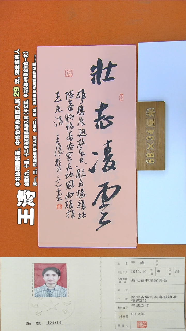 书法28R王涛书法作品
