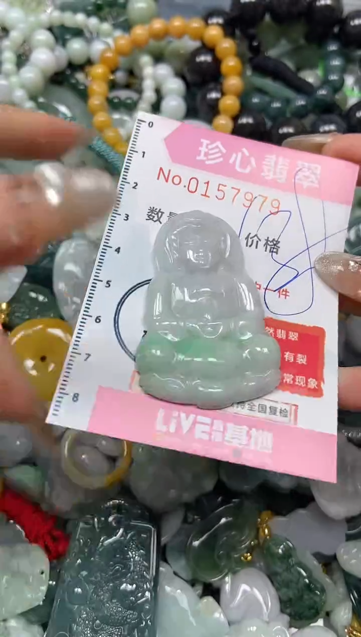 【闪购商品】翡翠颈饰未镶嵌闪购0157979