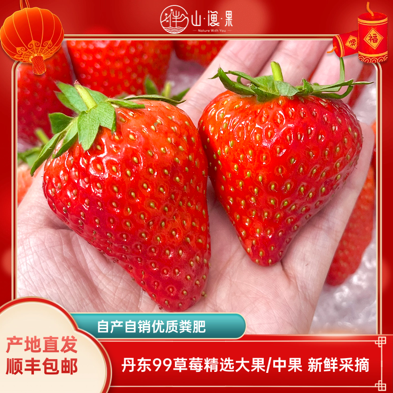【精选大果中果】丹东99草莓自产自销脆甜口感新鲜顺丰包邮孕妇水果