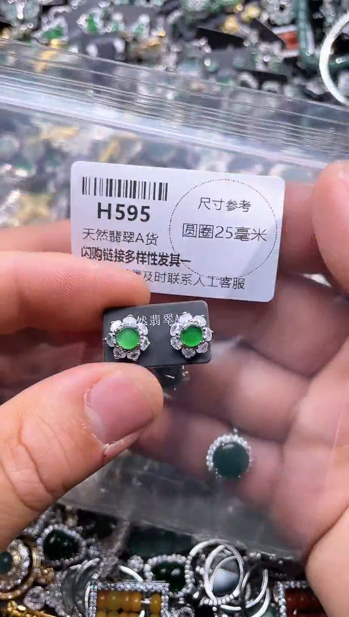 【闪购商品】翡翠颈饰未镶嵌H595耳钉