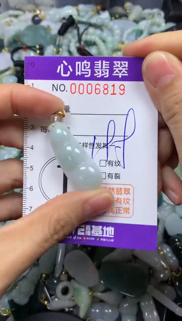 【闪购商品】翡翠颈饰未镶嵌闪购006819