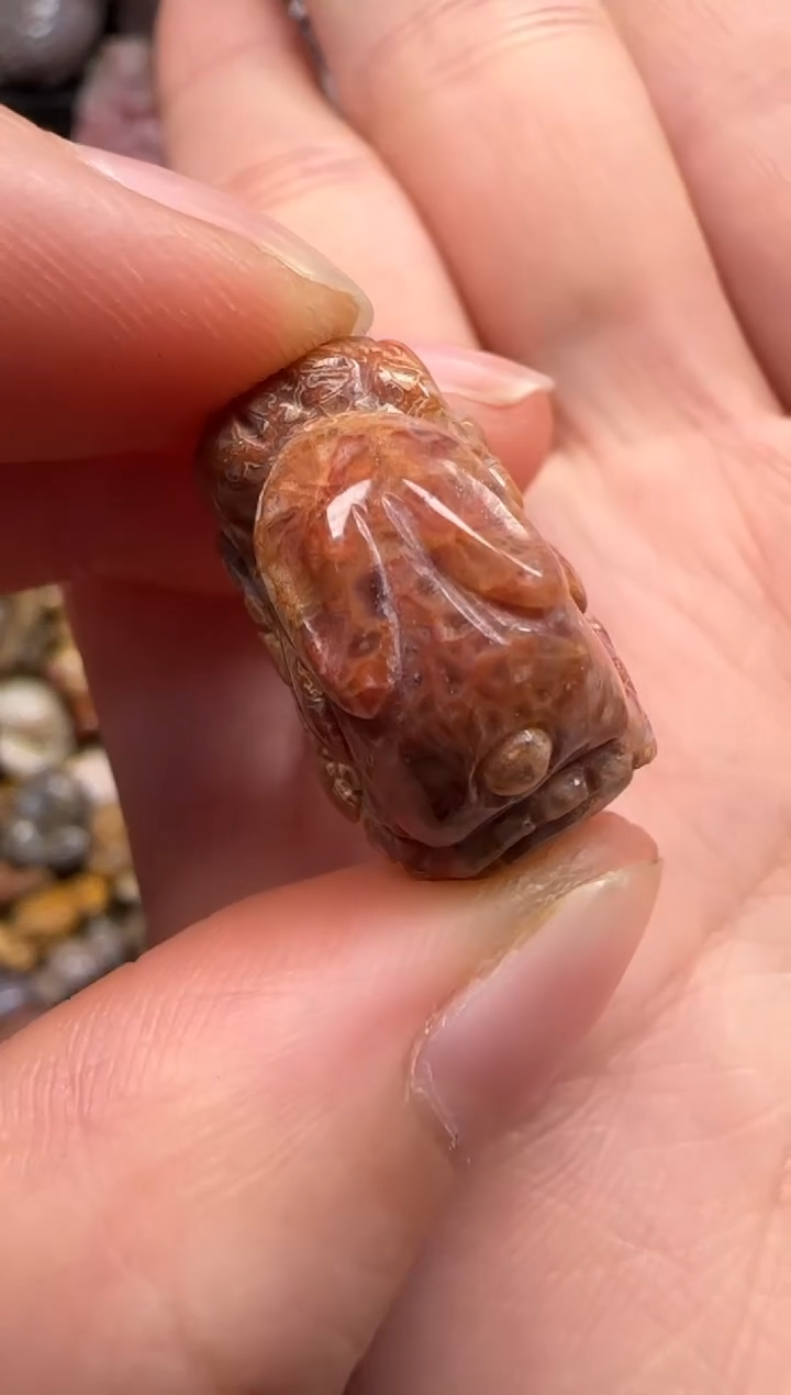 【闪购商品】硅化珊瑚（珊瑚玉）颈饰未镶嵌016