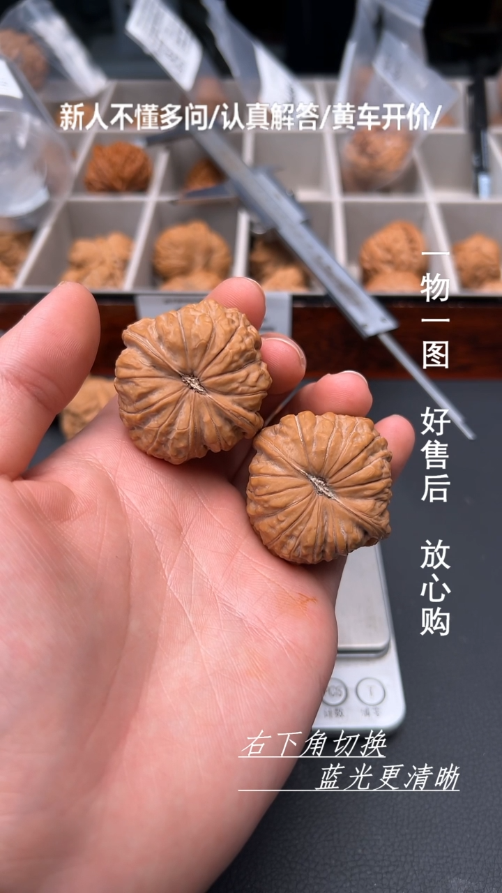 【闪购商品】文玩核桃吊坠42.5全品南瓜墩48克