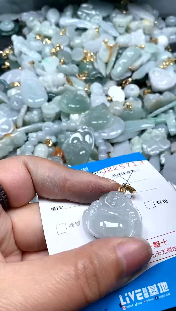 【闪购商品】翡翠颈饰未镶嵌闪购商品0225719
