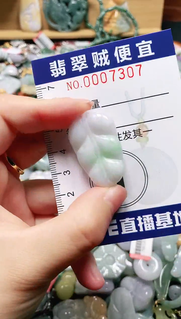 【闪购商品】翡翠颈饰未镶嵌闪购0007307
