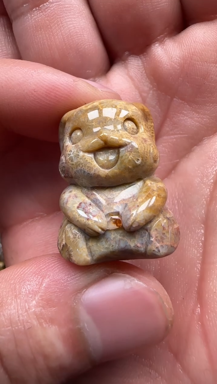 【闪购商品】硅化珊瑚（珊瑚玉）颈饰未镶嵌581