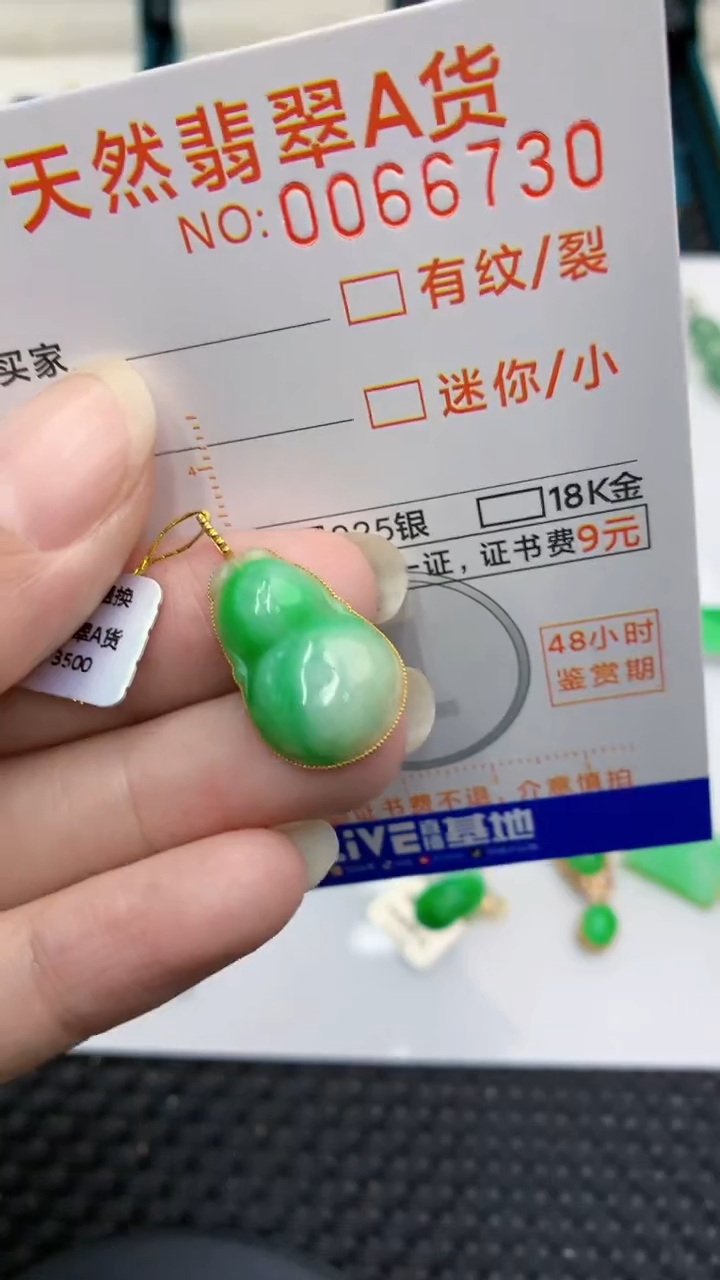 【闪购商品】翡翠颈饰18K金镶嵌            8