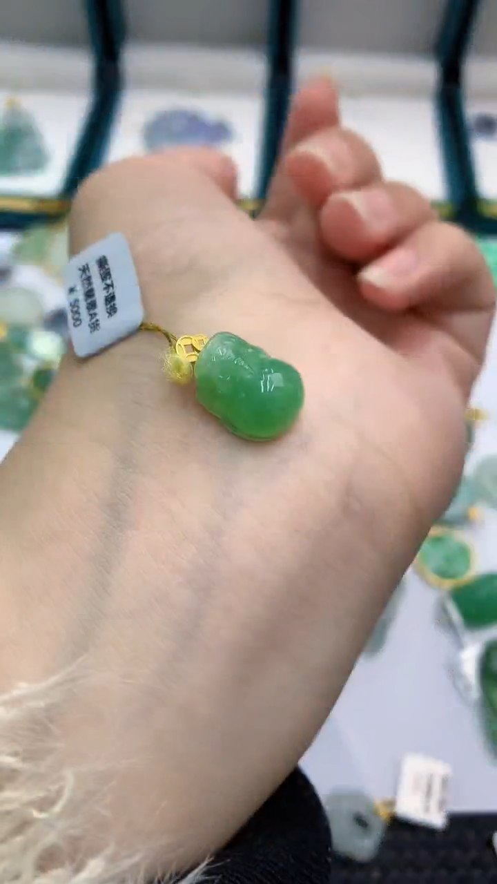 【闪购商品】翡翠颈饰18K金镶嵌            8