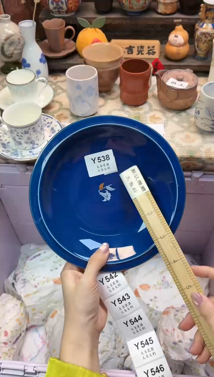 瓷器肉*   Y538 
