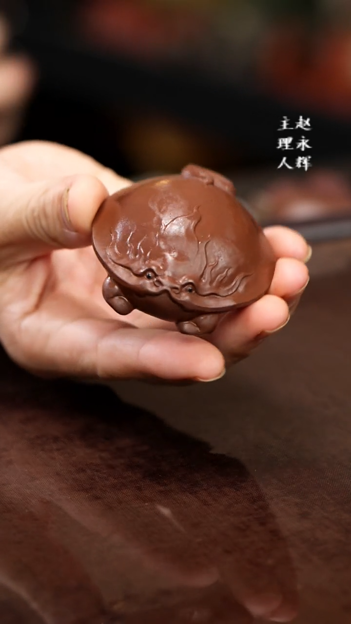 紫砂茶宠扁龙龟，。
