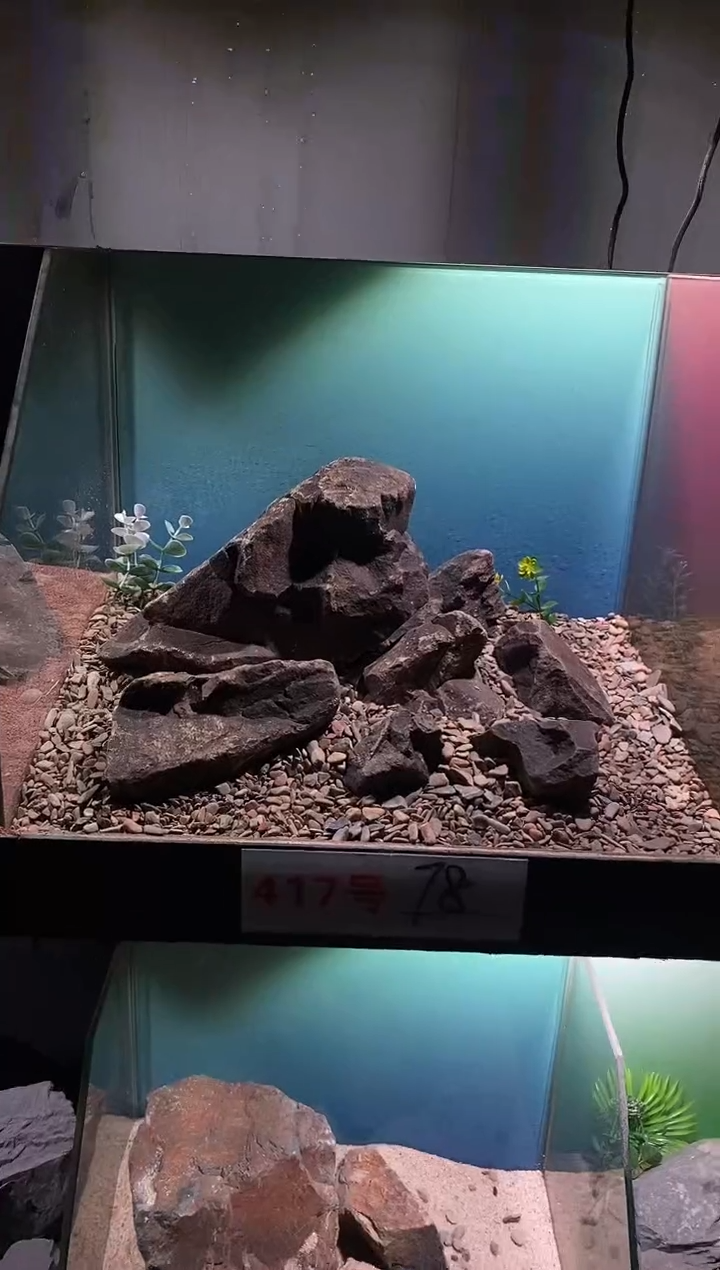 417号鱼缸造景（不含底砂）